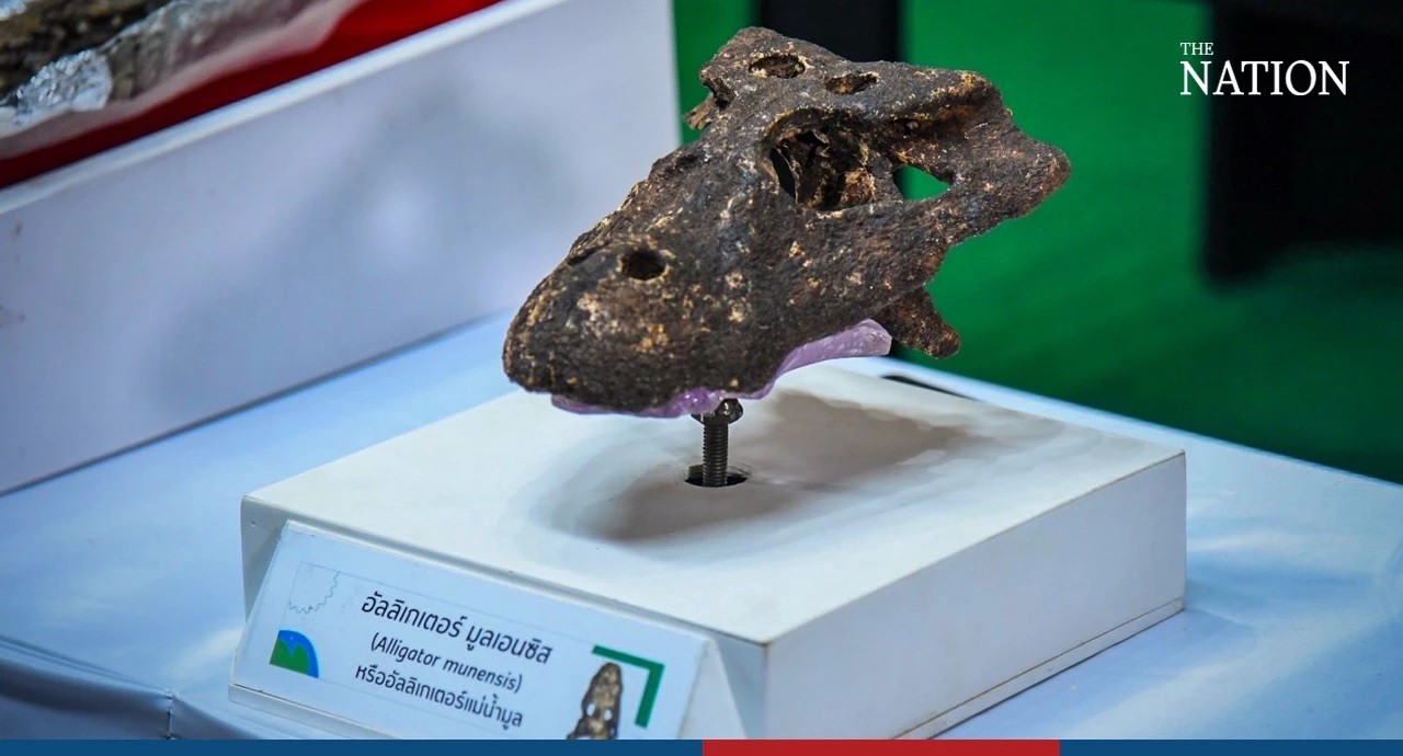 Thái Lan thông tin về loài cá sấu cổ đại Thái Lan thông tin về loài cá sấu cổ đại