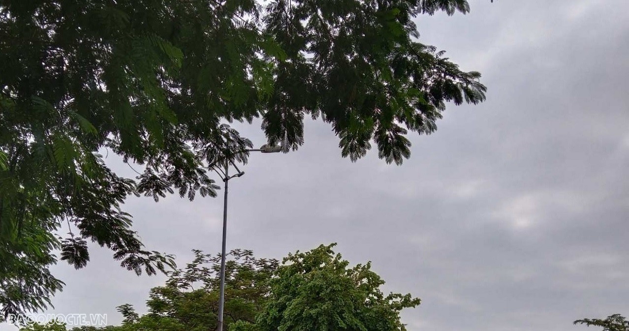 Dự báo thời tiết Hà Nội ngày 23/10: Nhiều mây, sáng sớm và đêm trời lạnh, chiều hửng nắng Dự báo thời tiết Hà Nội ngày 23/10: Nhiều mây, sáng sớm và đêm trời lạnh, chiều hửng nắng