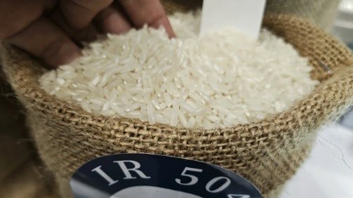 Indonesia lại tăng mua, gạo Việt Nam có thể lập đỉnh mới?