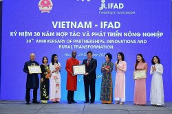 IFAD kỷ niệm 30 năm hợp tác cải thiện và nâng cao đời sống người dân nông thôn Việt Nam