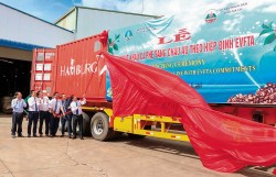 ‘Đường cao tốc’ đưa hàng Việt vào EU