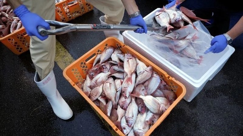 G7 kêu gọi dỡ bỏ lệnh cấm nhập khẩu thực phẩm Nhật Bản, phản đối hành vi ép buộc kinh tế