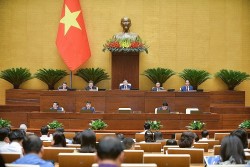 Đại biểu Quốc hội: Sửa đổi, bổ sung tiêu chí nông thôn mới bảo đảm phù hợp với thực tiễn