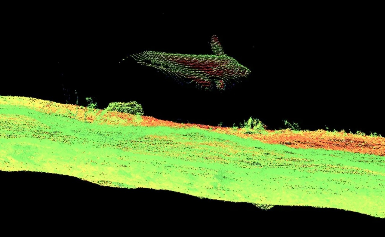 Ngắm nhìn vẻ đẹp kỳ diệu của 2 rạn san hô biển sâu mới được tìm thấy ngoài khơi quần đảo Galapagos Ngắm nhìn vẻ đẹp kỳ diệu của 2 rạn san hô biển sâu mới được tìm thấy ngoài khơi quần đảo Galapagos