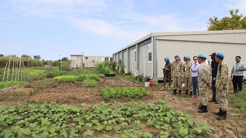 Trang trại kiểu mẫu của lính công binh Việt Nam