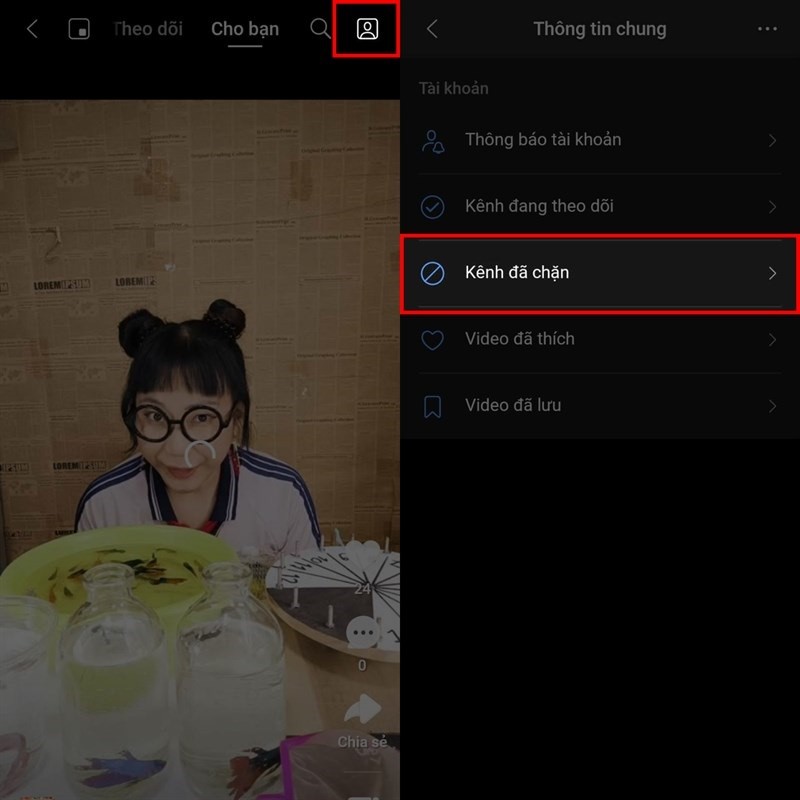 Cách bỏ chặn nhiều kênh cùng lúc trên Zalo Video siêu đơn giản