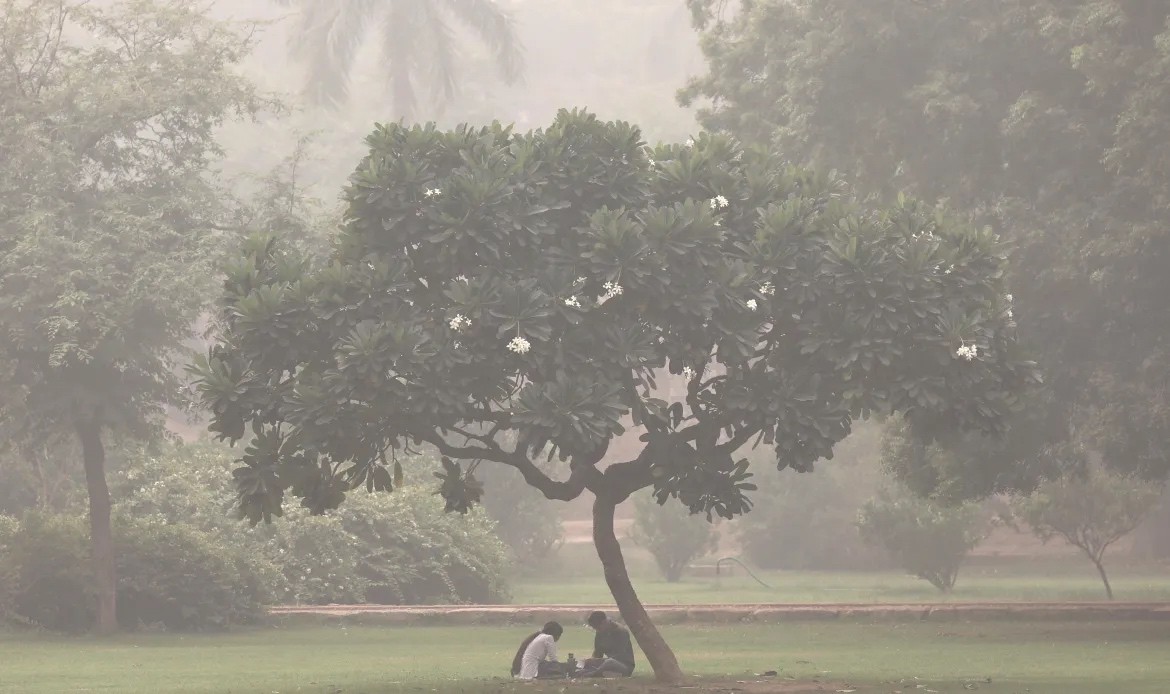 Ấn Độ: Khói bụi bao trùm, thủ đô New Delhi 'mờ ảo' trong không khí ô nhiễm