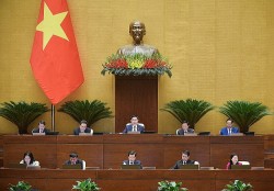 Bộ trưởng Hồ Đức Phớc: Cải cách thủ tục hành chính để tháo gỡ khó khăn thực hiện Luật Đầu tư công