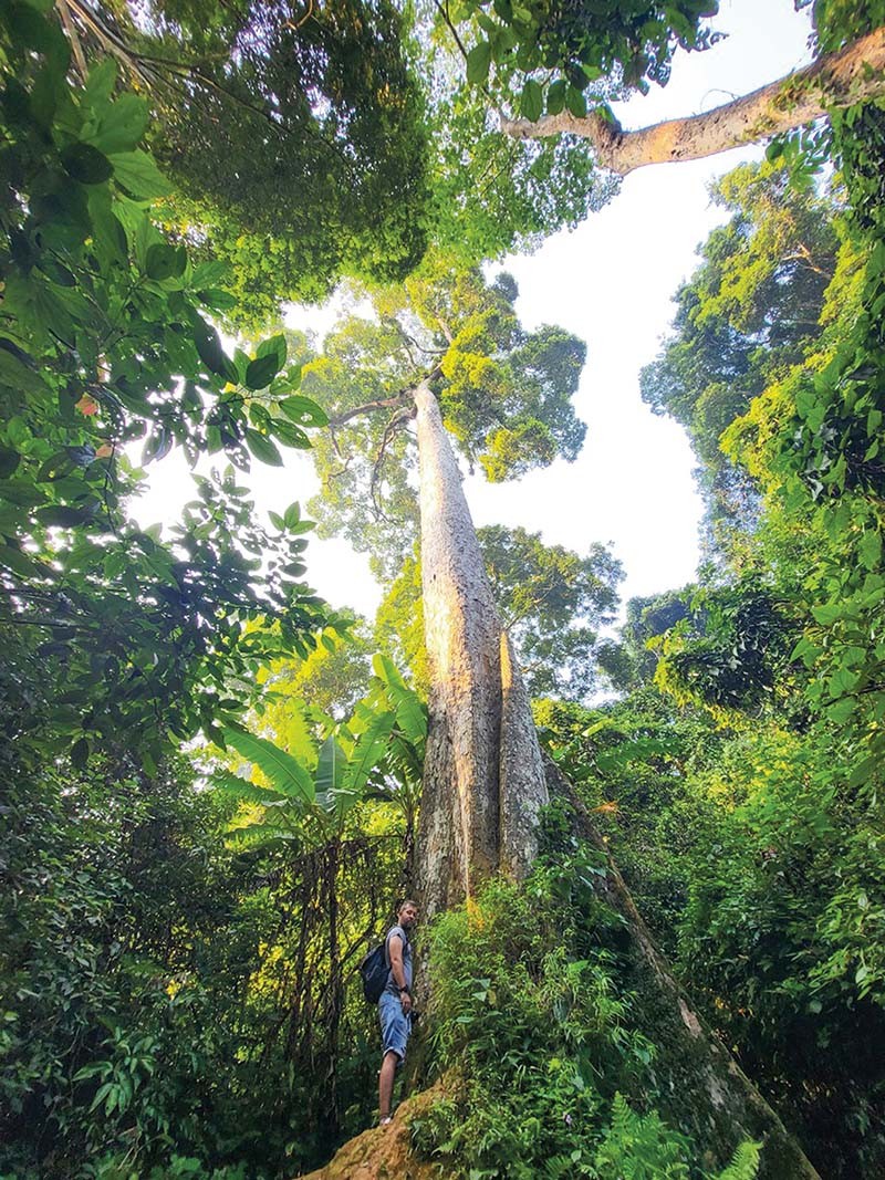 Lời thì thầm ở Cúc Phương Lời thì thầm ở Cúc Phương