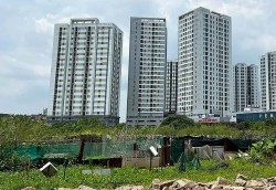 Bất động sản mới nhất: Hà Nội quy hoạch 7 ô đất làm trường học công lập, Hải Phòng kêu gọi đầu tư dự án hơn 1.900 tỷ đồng