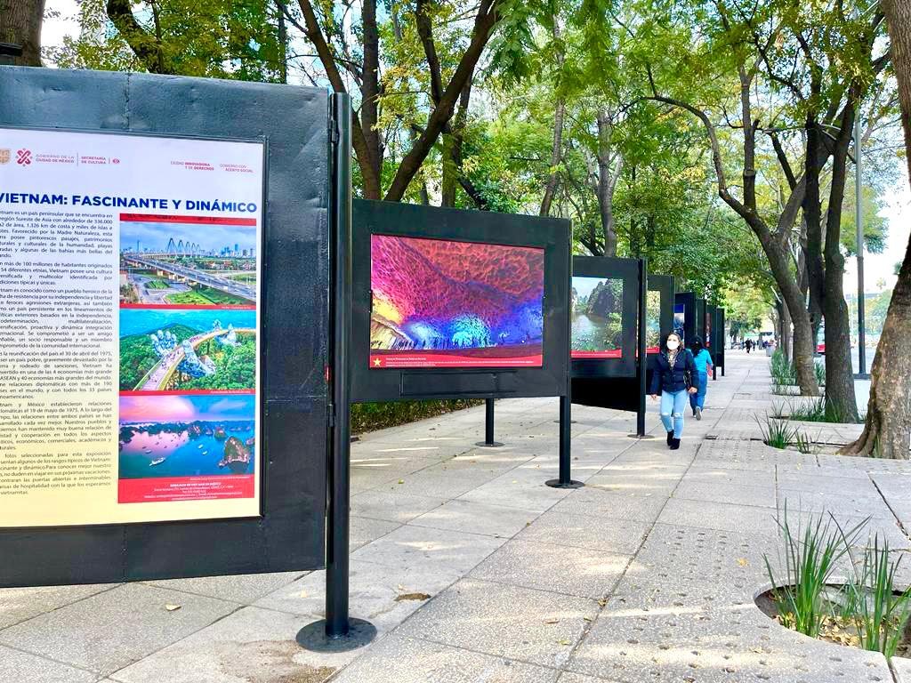 Đại sứ Nguyễn Văn Hải: Nửa thế kỷ đồng hành, quan hệ Việt Nam-Mexico sẵn sàng 'cất cánh' Đại sứ Nguyễn Văn Hải: Nửa thế kỷ đồng hành, quan hệ Việt Nam-Mexico sẵn sàng 'cất cánh'