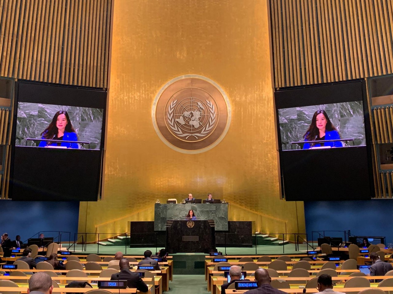 Tham tán Công sứ Lê Thị Minh Thoa, Phó Trưởng Phái đoàn thường trực Việt Nam tại LHQ phát biểu tại phiên thảo luận ngày 10/11.