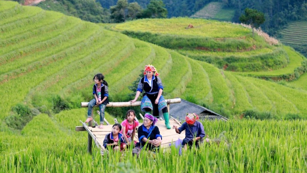Ruộng bậc thang - động lực phát triển vùng dân tộc thiểu số phía Bắc