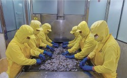 Cà Mau: Tăng cường thu hút vốn đầu tư Nhật Bản chất lượng cao