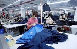 Xuất khẩu cuối năm nhiều điểm sáng, doanh nghiệp nắm bắt cơ hội