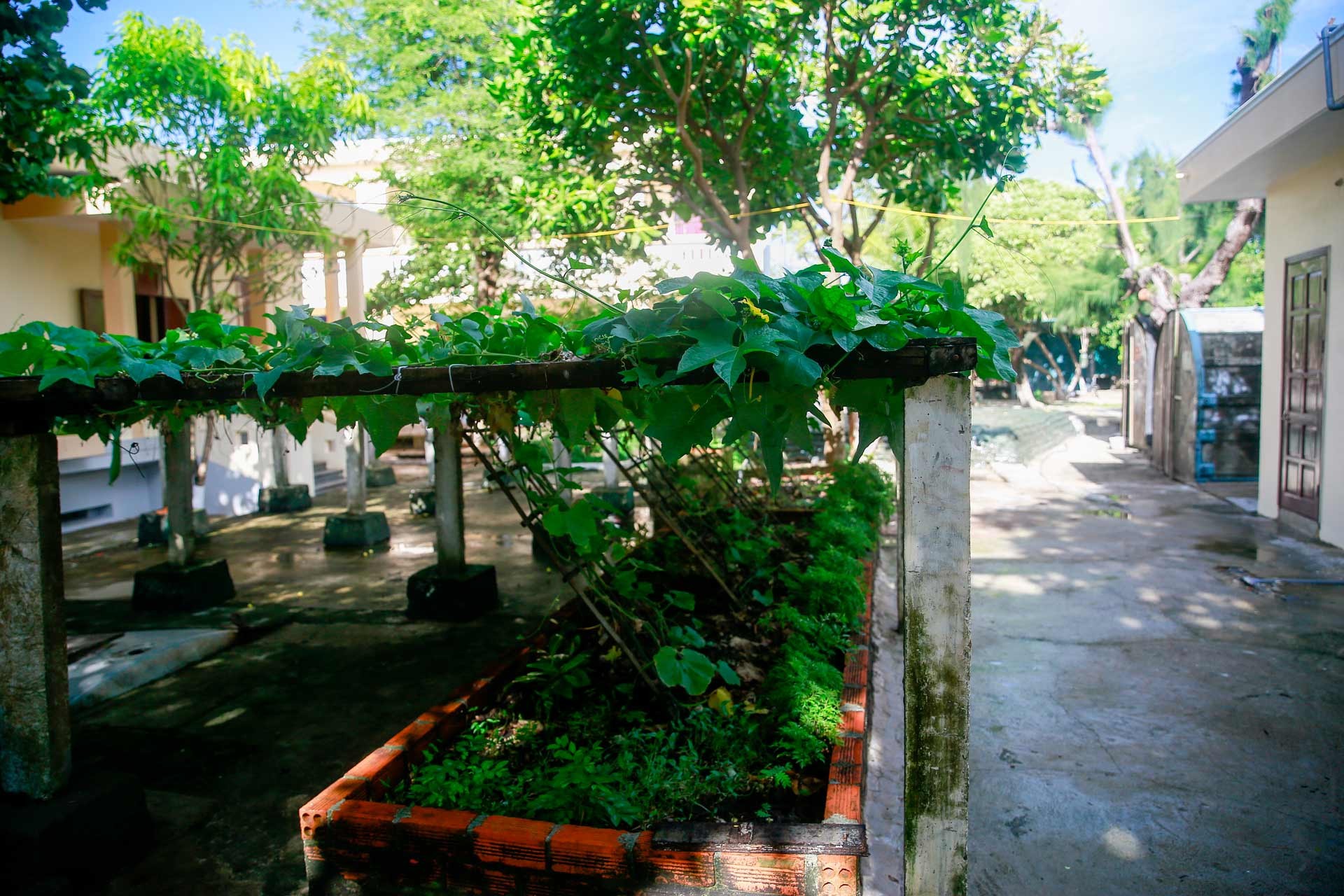 Mảnh vườn nhỏ Mảnh vườn nhỏ