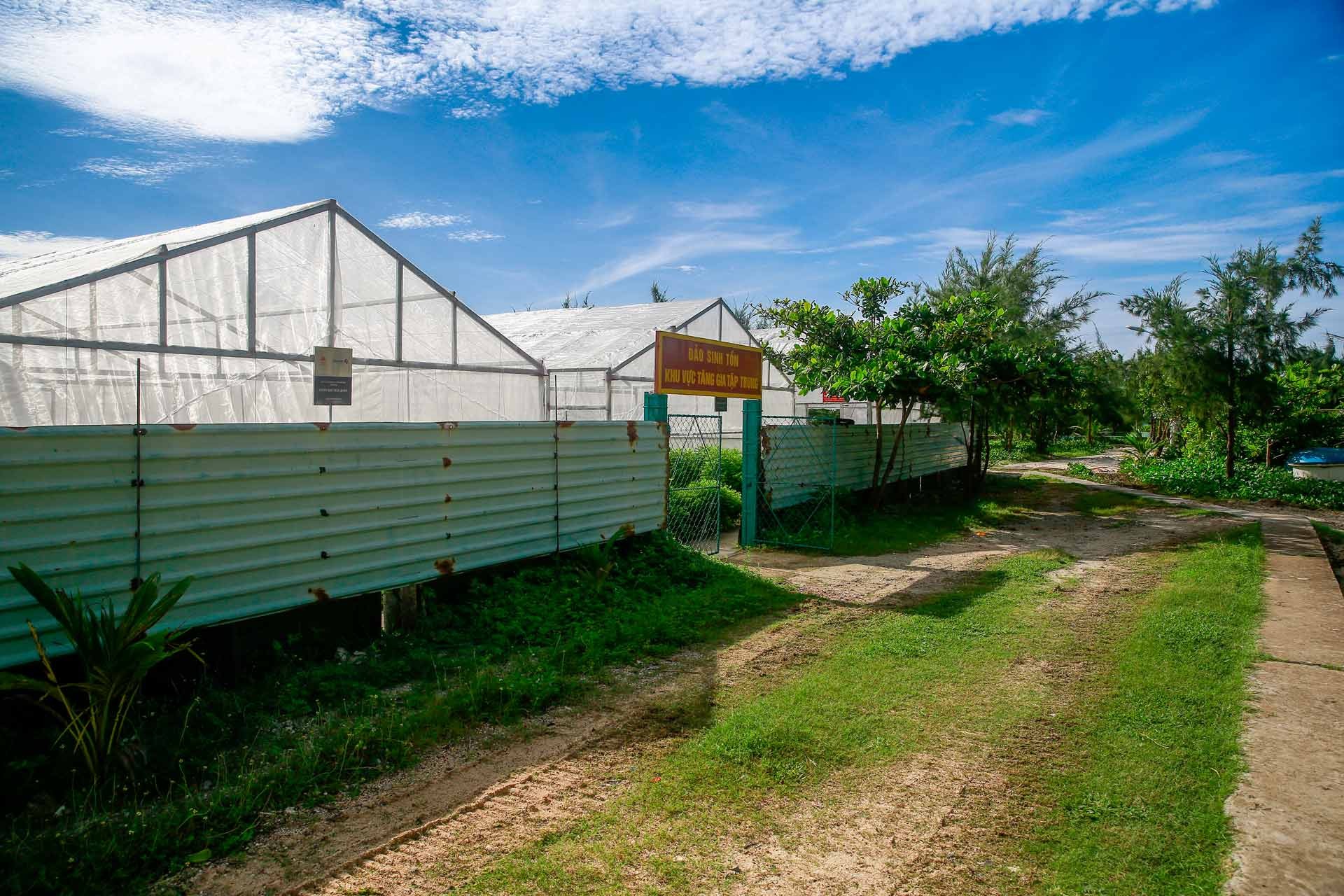 Vườn rau được trồng trong nhà kính Vườn rau được trồng trong nhà kính