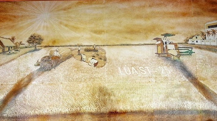 Kỷ lục Việt Nam ghi nhận bức tranh lớn nhất làm từ gần 100kg gạo ST25