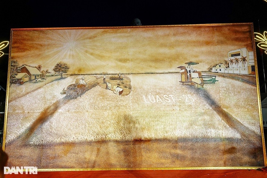 Kỷ lục Việt Nam ghi nhận bức tranh lớn nhất làm từ gần 100kg gạo ST25