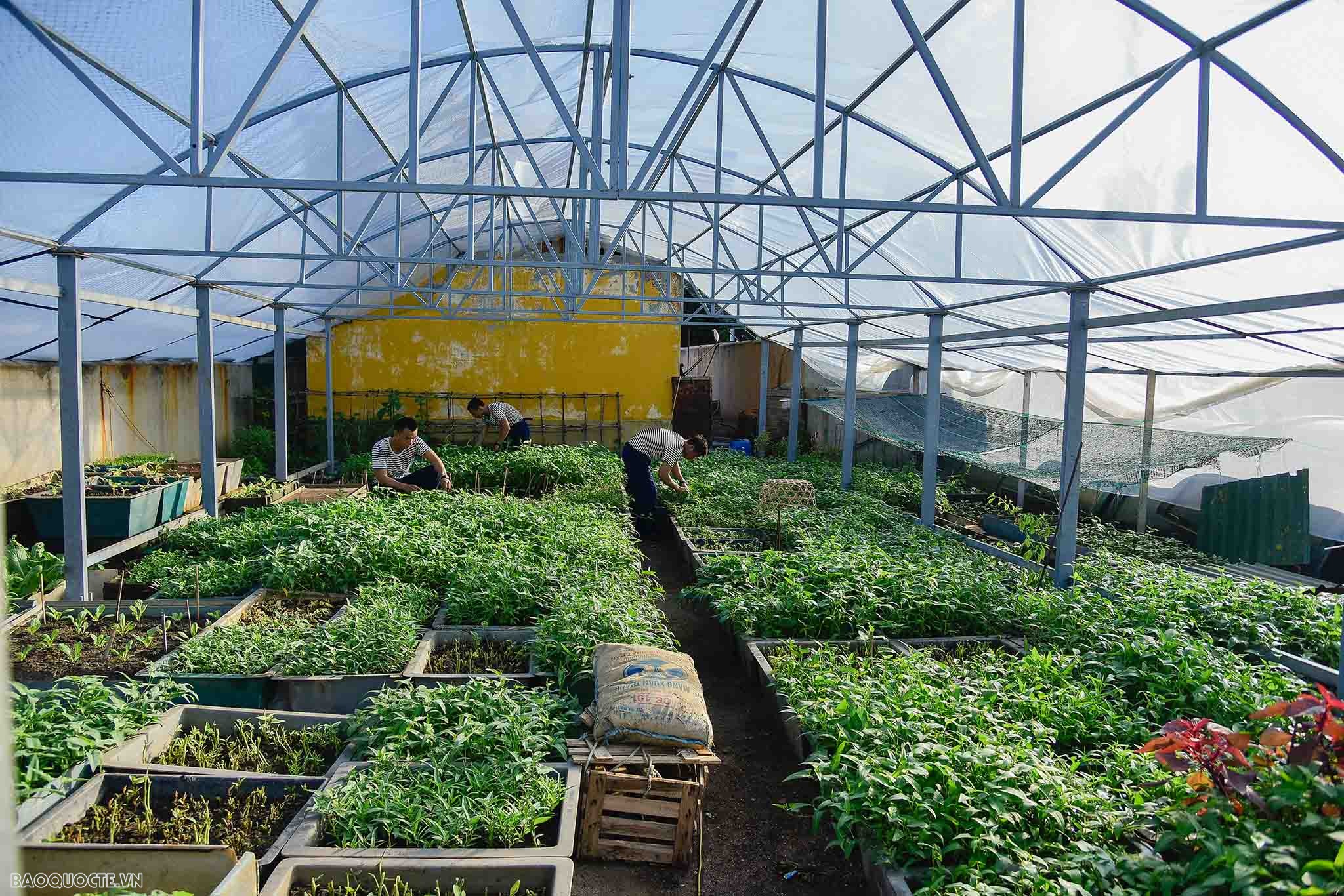 Vượt sóng vào An Bang