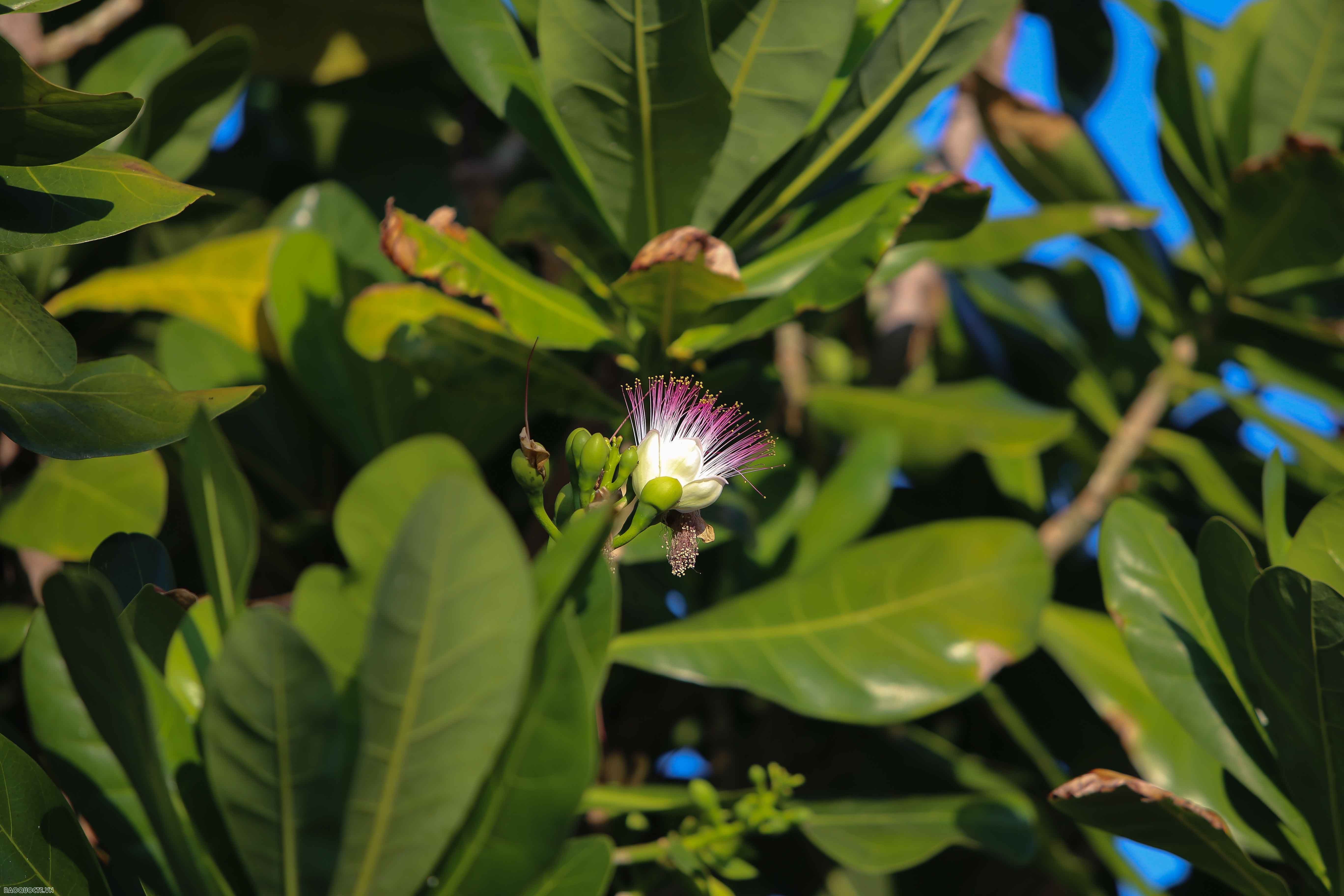 Vượt sóng vào An Bang