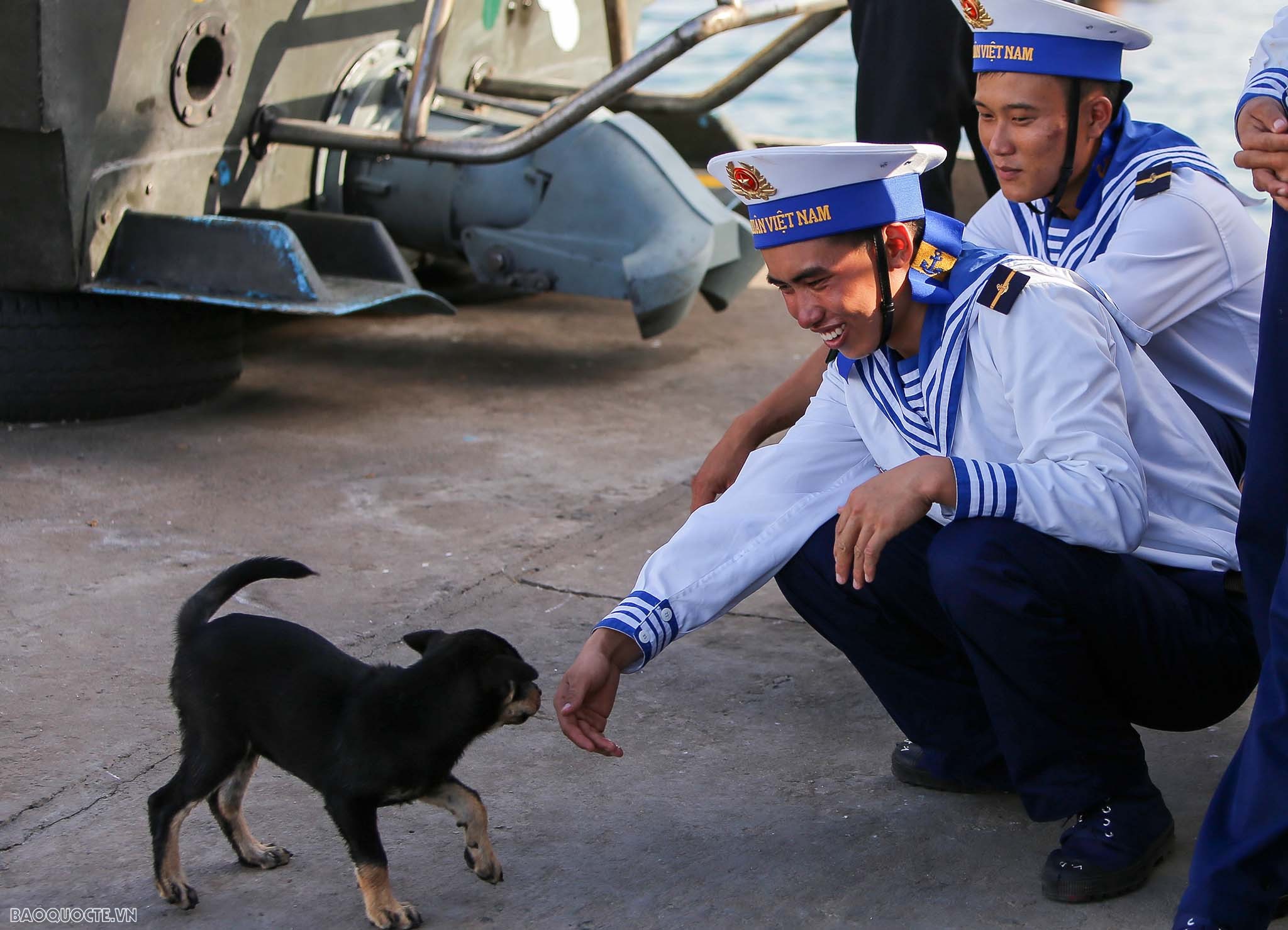 Những người bạn 4 chân của chiến sĩ Trường Sa