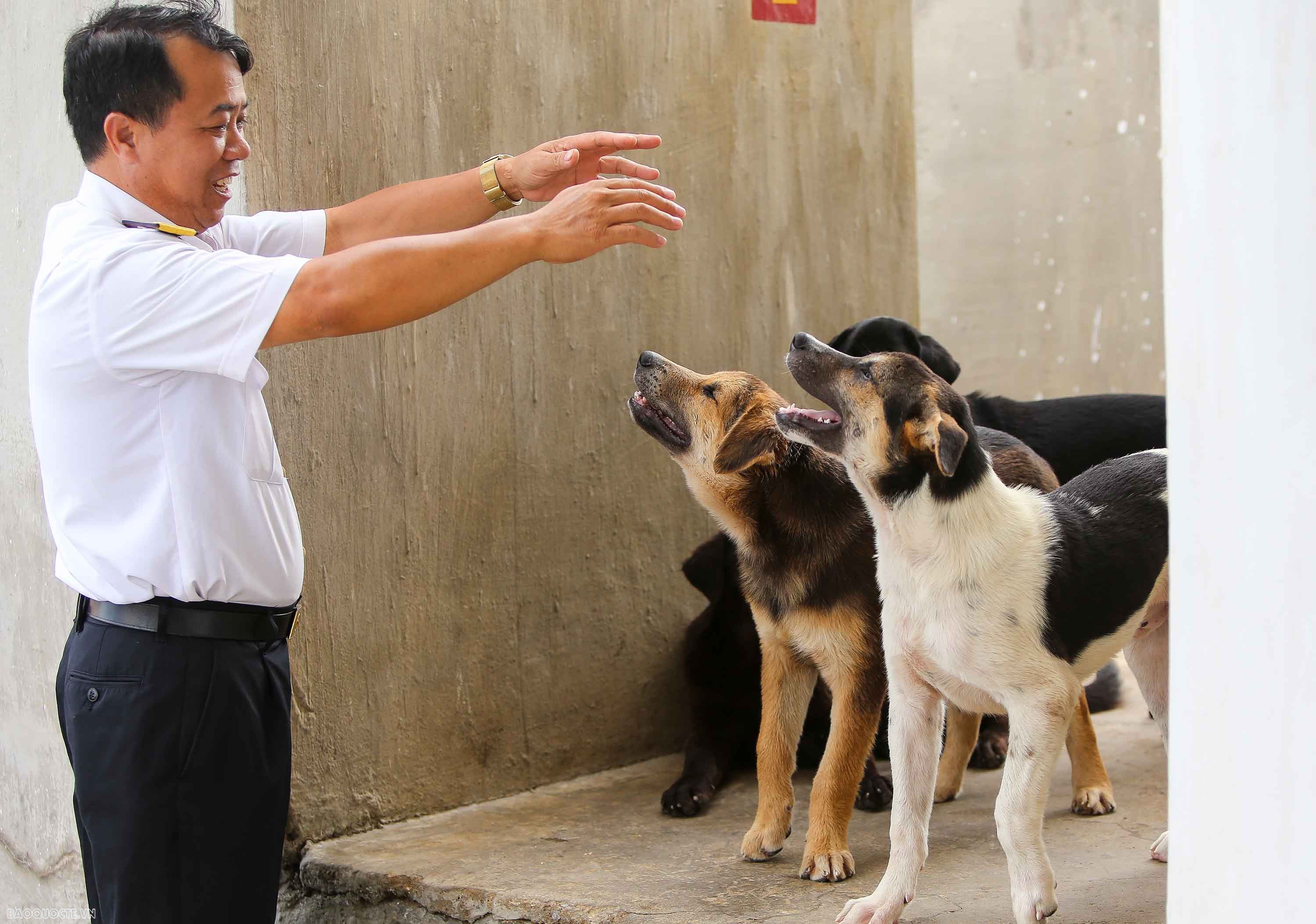 Những người bạn 4 chân của chiến sĩ Trường Sa