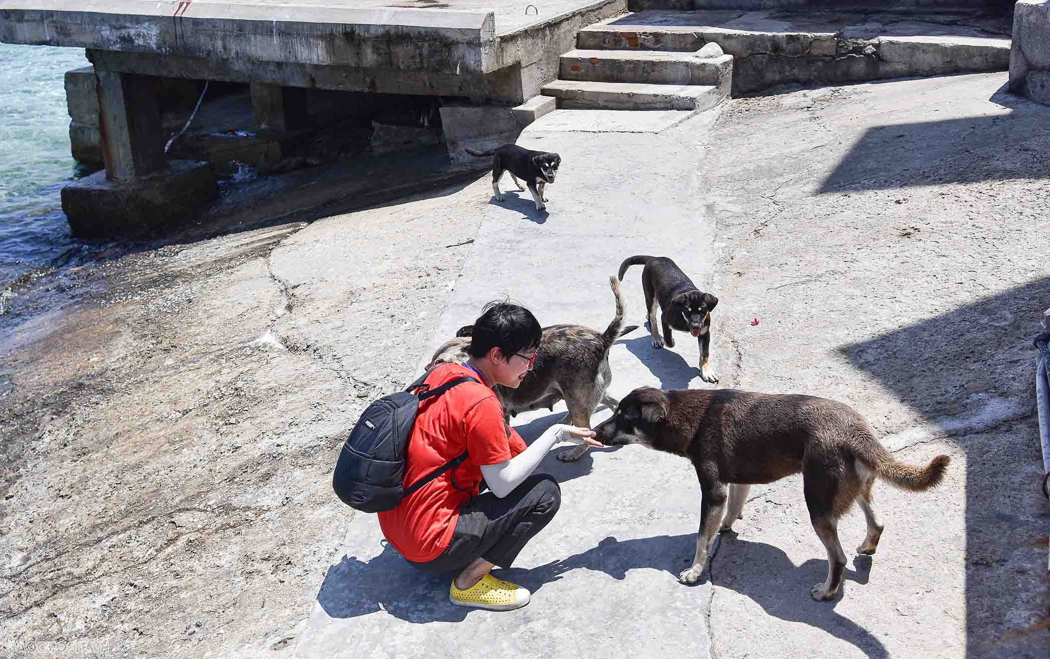 Những người bạn 4 chân của chiến sĩ Trường Sa