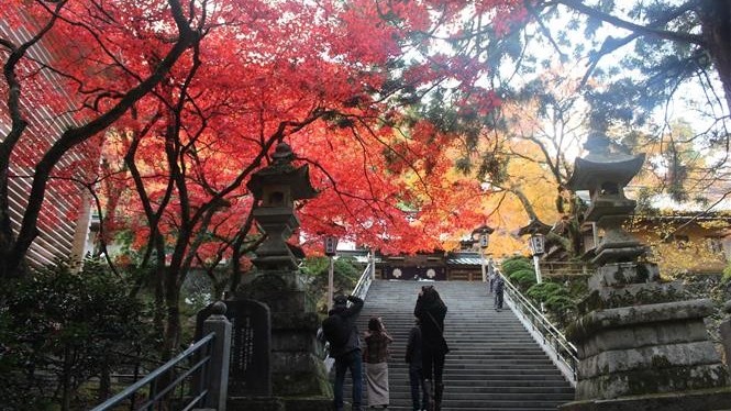 Mùa Thu kỳ bí ở ngôi chùa Nhật Bản hơn 600 tuổi