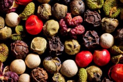 Giá tiêu hôm nay 10/12/2023, thị trường nối dài đà tăng, Việt Nam giảm mạnh nhập khẩu từ 2 quốc gia này