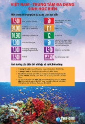 Việt Nam - trung tâm đa dạng sinh học biển