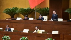 Hôm nay 28/11, Quốc hội thông qua Luật Kinh doanh bất động sản, Luật Lực lượng tham gia bảo vệ an ninh, trật tự ở cơ sở