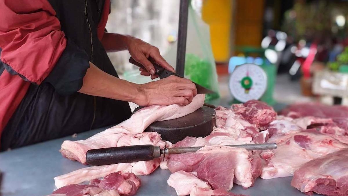 Giá heo hơi hôm nay 20/11: Thị trường điều chỉnh tích cực, giao dịch trong khoảng 46.000 - 51.000 đồng/kg