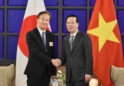 Quan hệ giữa Kyushu và địa phương Việt Nam là một điển hình của hợp tác địa phương giữa hai nước