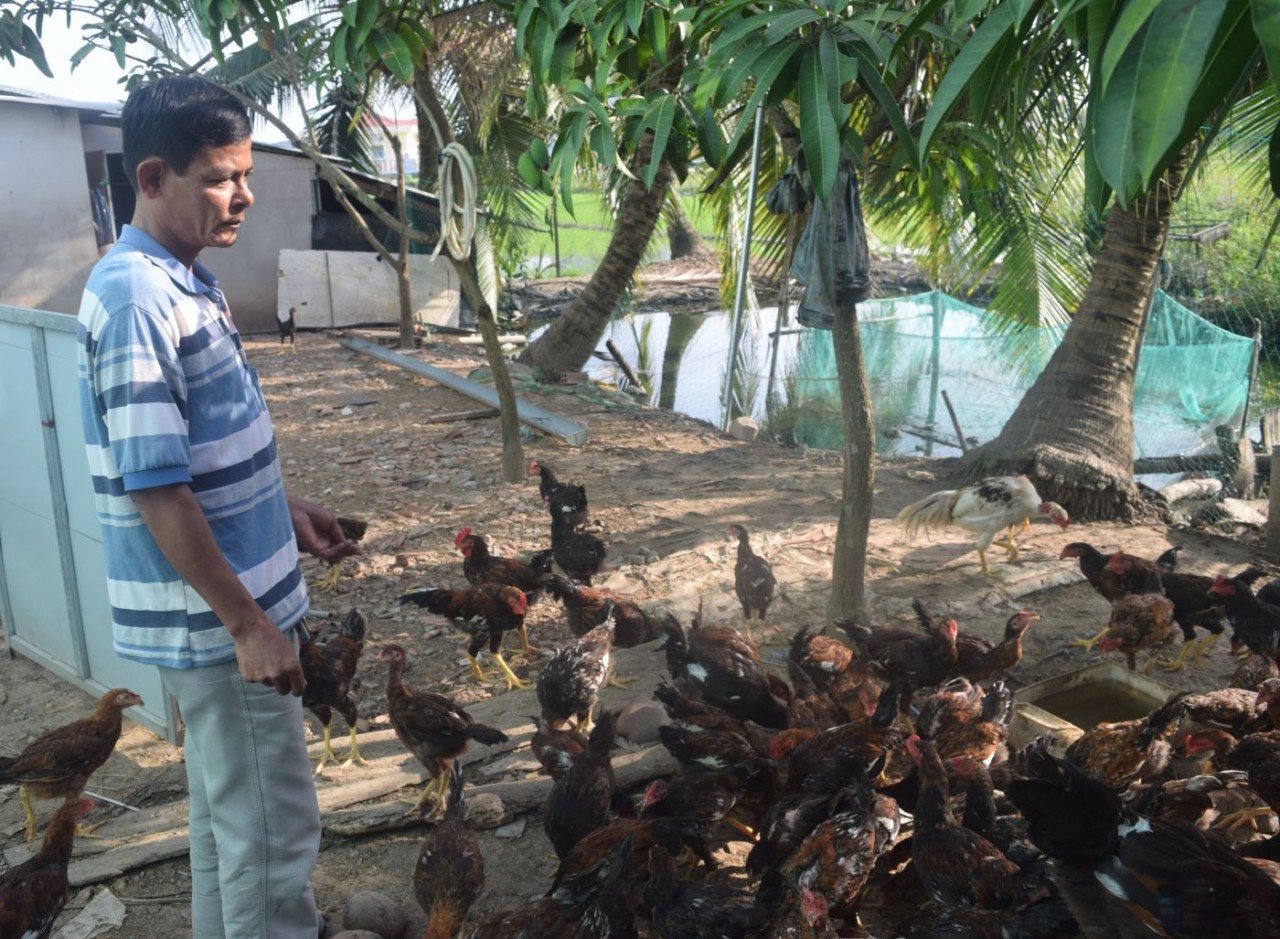 Anh Danh Nuôl ấp Đầu Sấu Tây xã Lộc Ninh (huyện Hồng Dân, tỉnh Bạc Liêu) chăm sóc đàn gà từ nguồn vốn vay ưu đãi Ngân hàng sách chính xã hội theo Nghị định số 28/2022/NĐ-CP, của Chính phủ về chính sách tín dụng ưu đãi thực hiện Chương trình MTQG 1719 giúp anh có thu nhập ổn định cải thiện cuộc sống. (Ảnh: Phương Nghi) Anh Danh Nuôl ấp Đầu Sấu Tây xã Lộc Ninh (huyện Hồng Dân, tỉnh Bạc Liêu) chăm sóc đàn gà từ nguồn vốn vay ưu đãi Ngân hàng sách chính xã hội theo Nghị định số 28/2022/NĐ-CP, của Chính phủ về chính sách tín dụng ưu đãi thực hiện Chương trình MTQG 1719 giúp