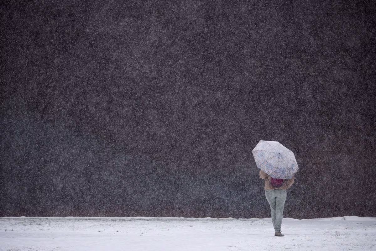 Ảnh ấn tượng (27/11 3/12): Nga không cho phép bất cứ ai làm điều này, Tổng thống Ukraine tới tiền tuyến Kharkov, người Palestine di tản trong giá rét