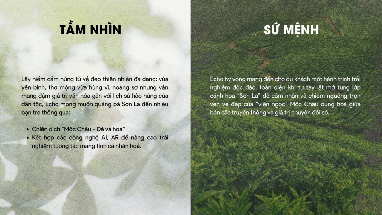 Chia sẻ về hành trình thực hiện dự án 'Mộc Châu - Đá và Hoa'