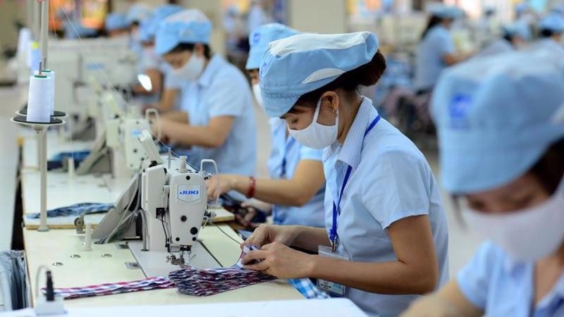 Báo cáo tình hình sử dụng lao động 2023: Doanh nghiệp, kế toán, nhân sự cần biết