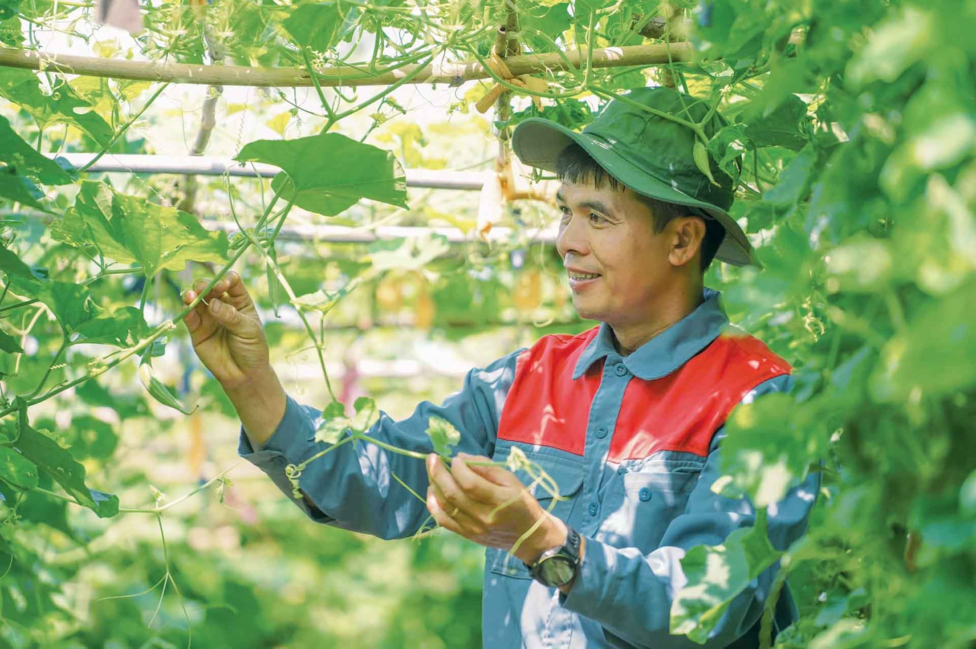 TS. Nguyễn Đức Chinh. TS. Nguyễn Đức Chinh.