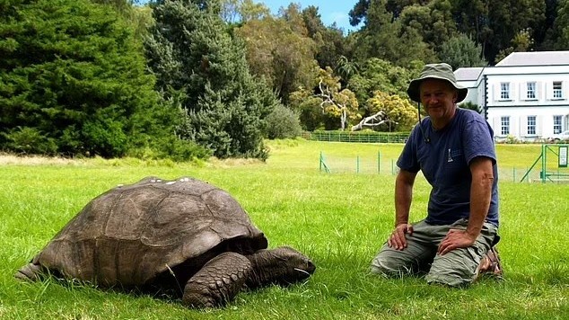 Cụ rùa già nhất thế giới đón sinh nhật lần thứ 191