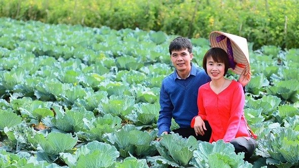 Cựu du học sinh uơm 'mầm xanh' ở quê hương