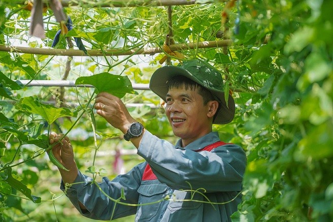 Ươm 'mầm xanh' ở quê hương Ươm 'mầm xanh' ở quê hương