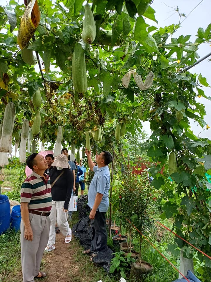 Ươm 'mầm xanh' ở quê hương Ươm 'mầm xanh' ở quê hương