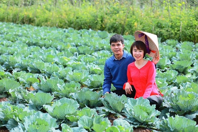 Ươm 'mầm xanh' ở quê hương Ươm 'mầm xanh' ở quê hương