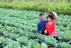 Cựu du học sinh uơm 'mầm xanh' ở quê hương