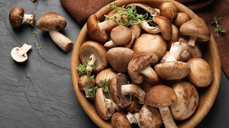 Loại nấm ăn là 'siêu thực phẩm' ở Nhật, hỗ trợ phòng chống ung thư, lại rất phổ biến ở Việt Nam