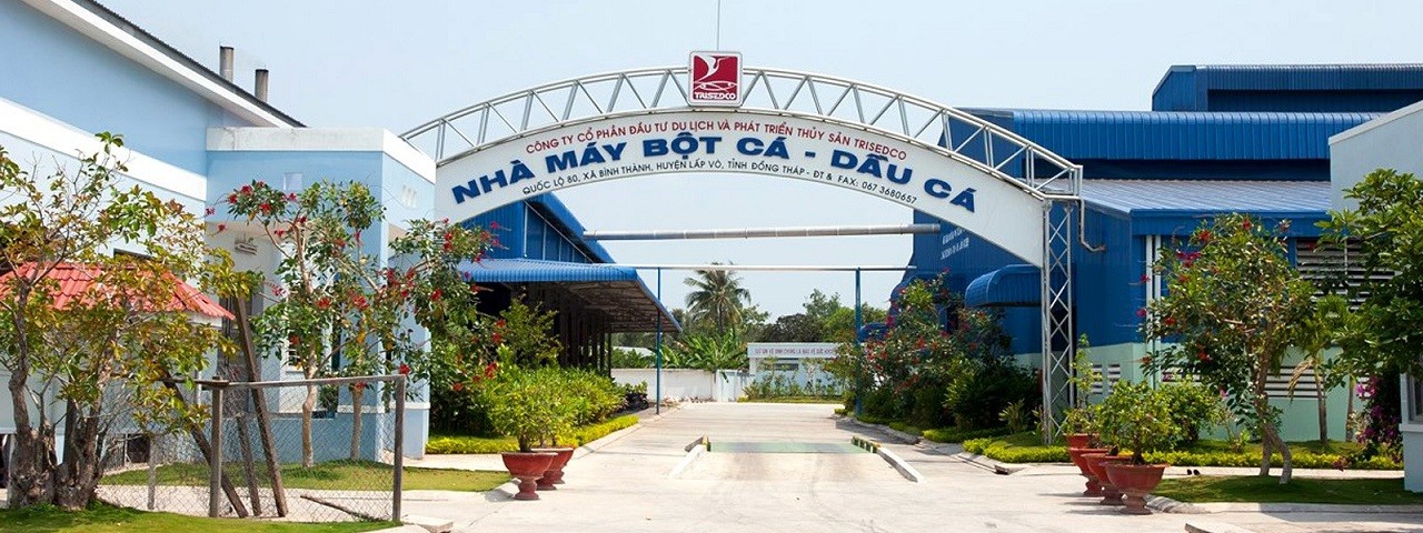 TRISEDCO ‘đôi công’ với sóng lớn TRISEDCO ‘đôi công’ với sóng lớn