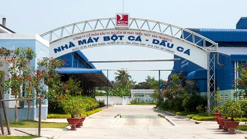 TRISEDCO​​​​​​​ ‘đôi công’ với sóng lớn