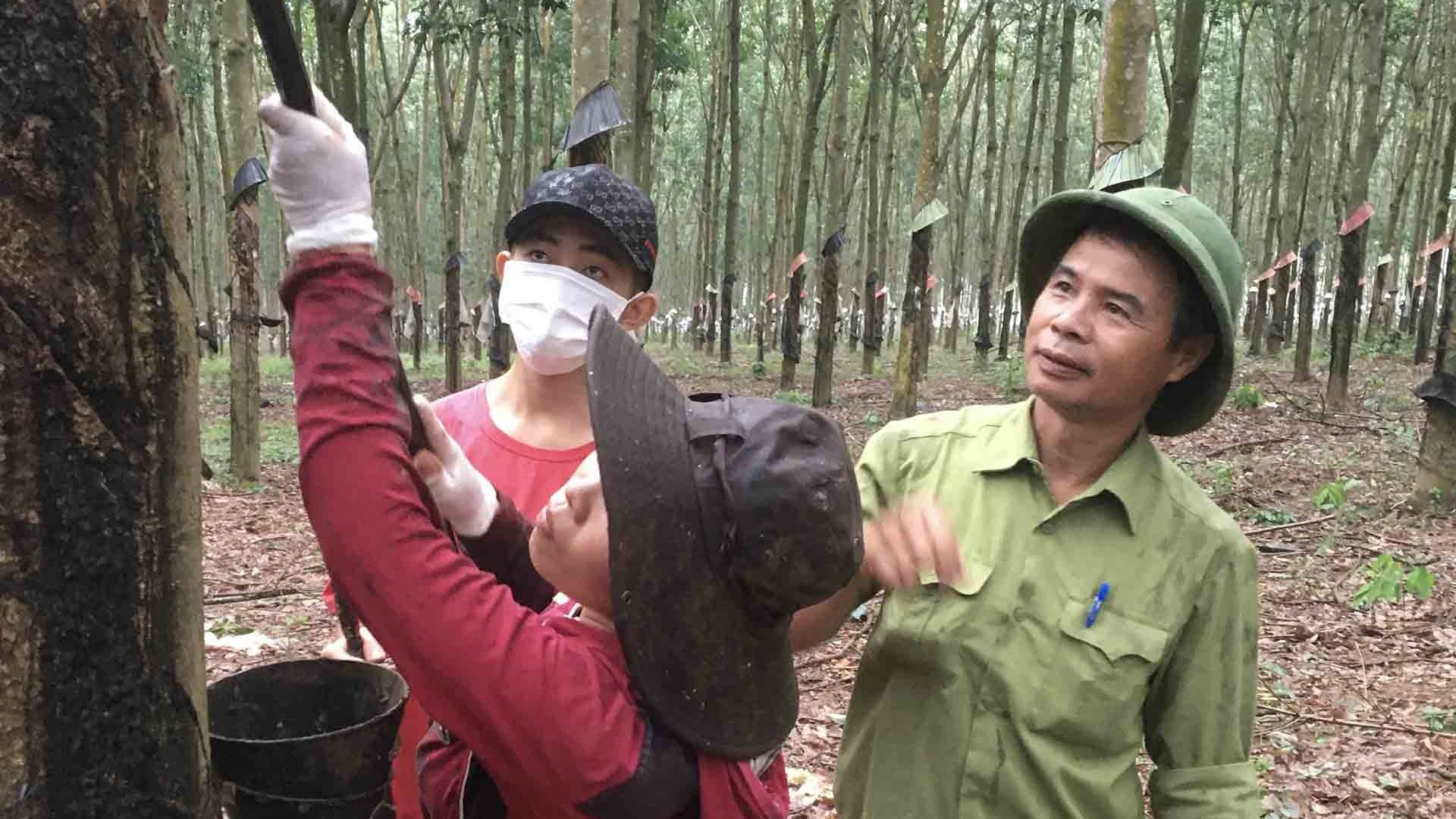 Cựu chiến binh Vũ Mạnh Khải: Không chỉ làm giàu cho riêng mình