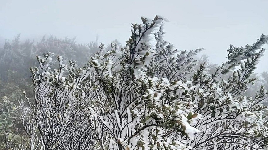 Lào Cai: Không khí lạnh tăng cường, băng giá bao phủ các đỉnh núi cao